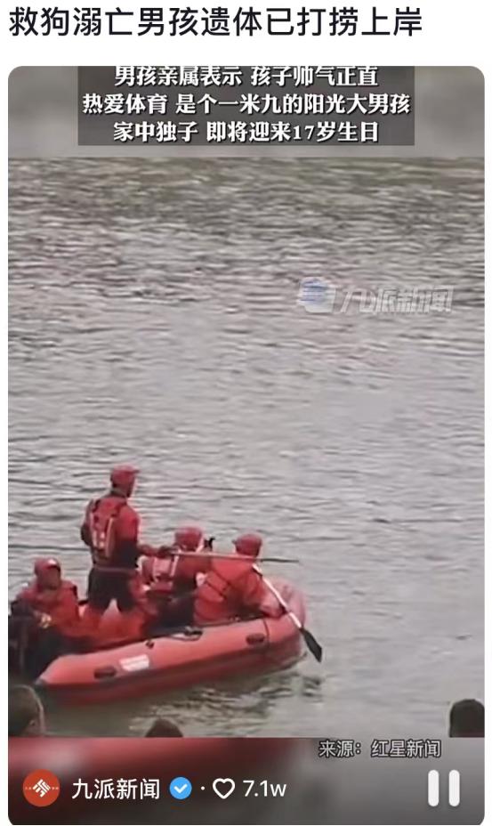 16岁少年被女下河救狗溺亡:狗一直是狗,人有时候却不是人