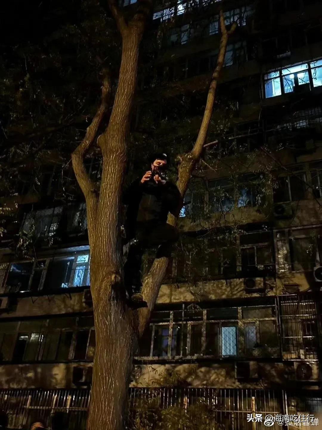 “境外势力”在哪？不如看看这些在网上招兵买马的信息