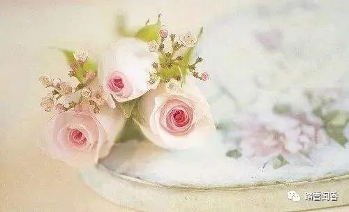 散文告别母校,恋人告别时的散文