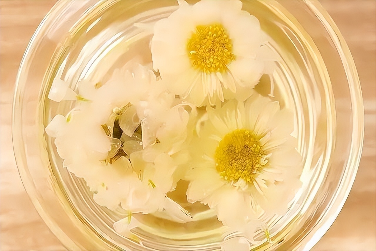 秋天老人喝什么菊花茶,老年人适合喝什么样的菊花茶