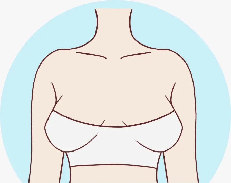 原来女生的胸部形状有那么多种？东亚女性胸部偏小真是基因所致？