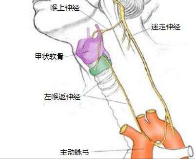 人类到底是原住民还是外星移民,人类是不是星际移民