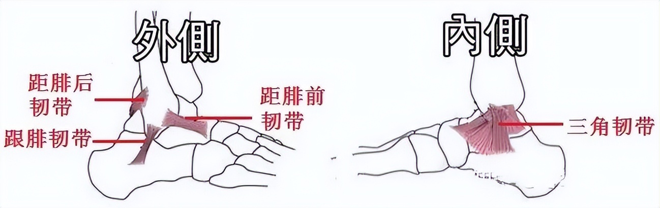 脚背及脚踝疼痛见于哪些疾病,脚踝外侧面疼痛警惕大病