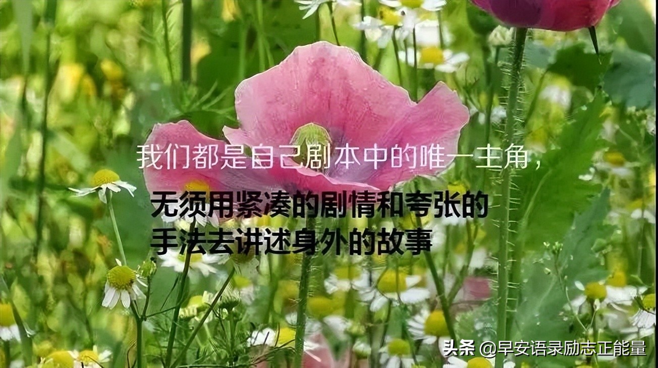 心灵鸡汤早安心语正能量短句,心灵鸡汤早安励志正能量短句