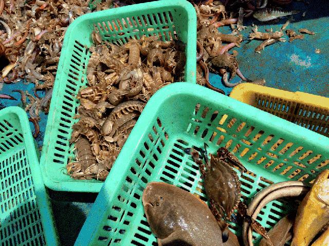 惠州哪个海滩离深圳最近,惠州海滩哪里离广州最近