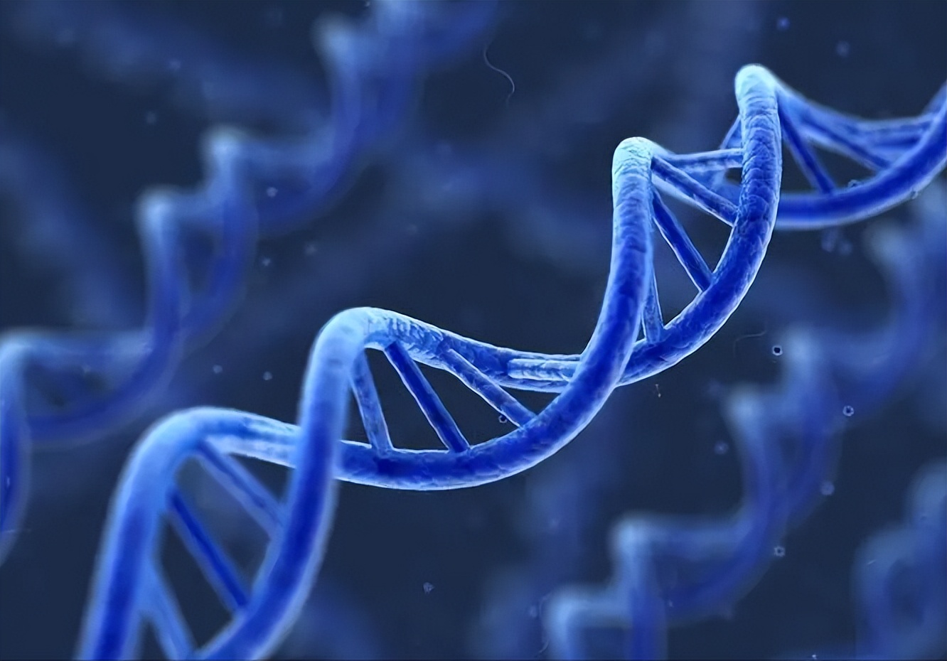 石榴中维生素c的含量高吗,石榴中维生素c含量