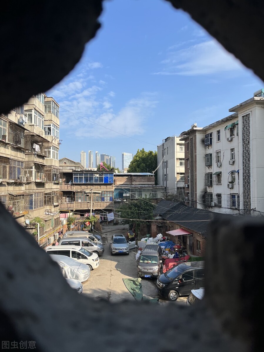 灭鼠的100种方式,专业灭鼠公司一般灭鼠都用啥方法