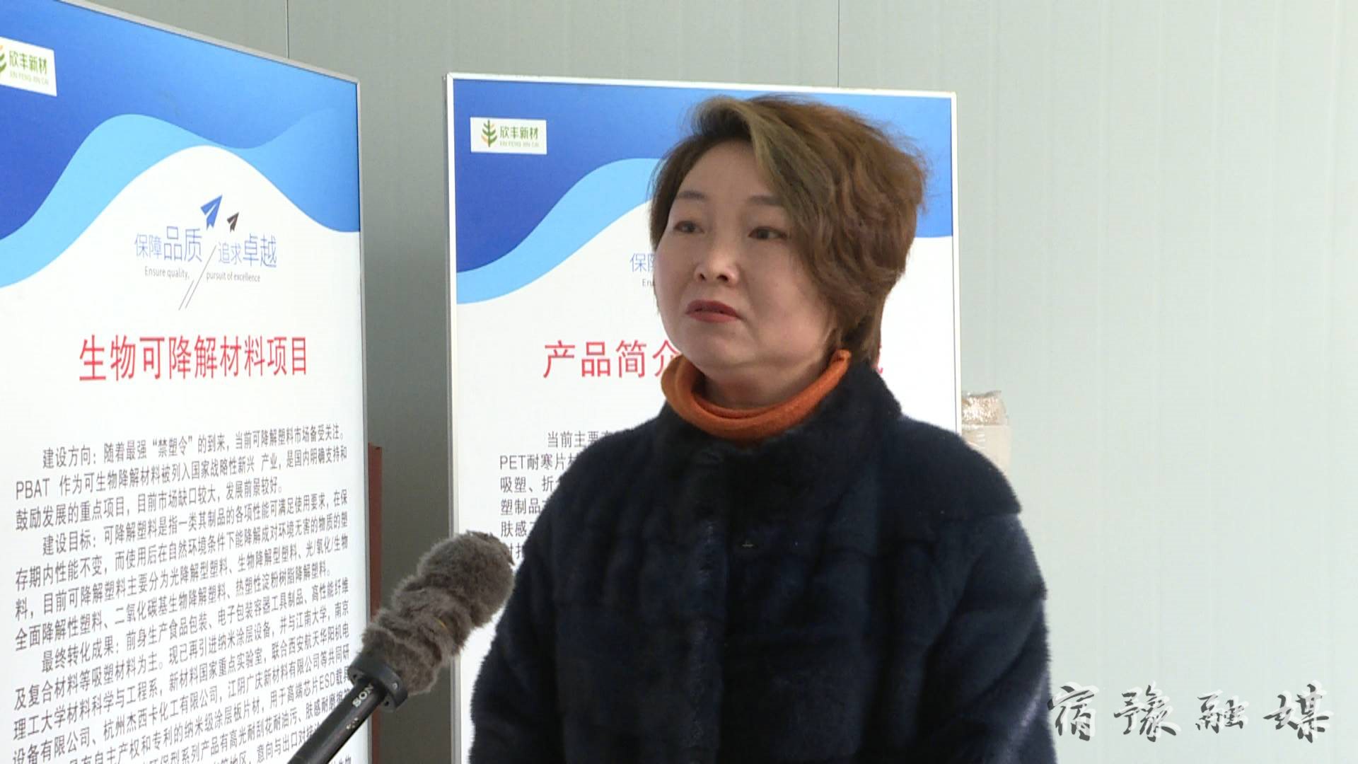 来龙小城镇建设,来龙镇城市项目