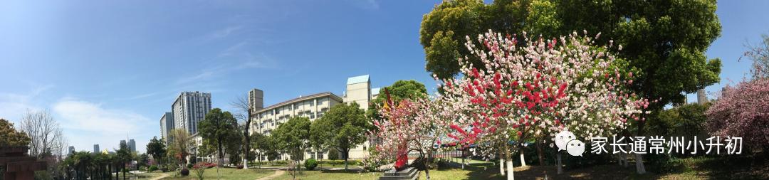 私立学校初中老师需要什么条件,民办学校聘请公办教师