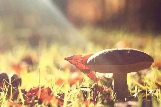 对你说这几句话的男人很爱你,会说这三句话的男人一定很爱你