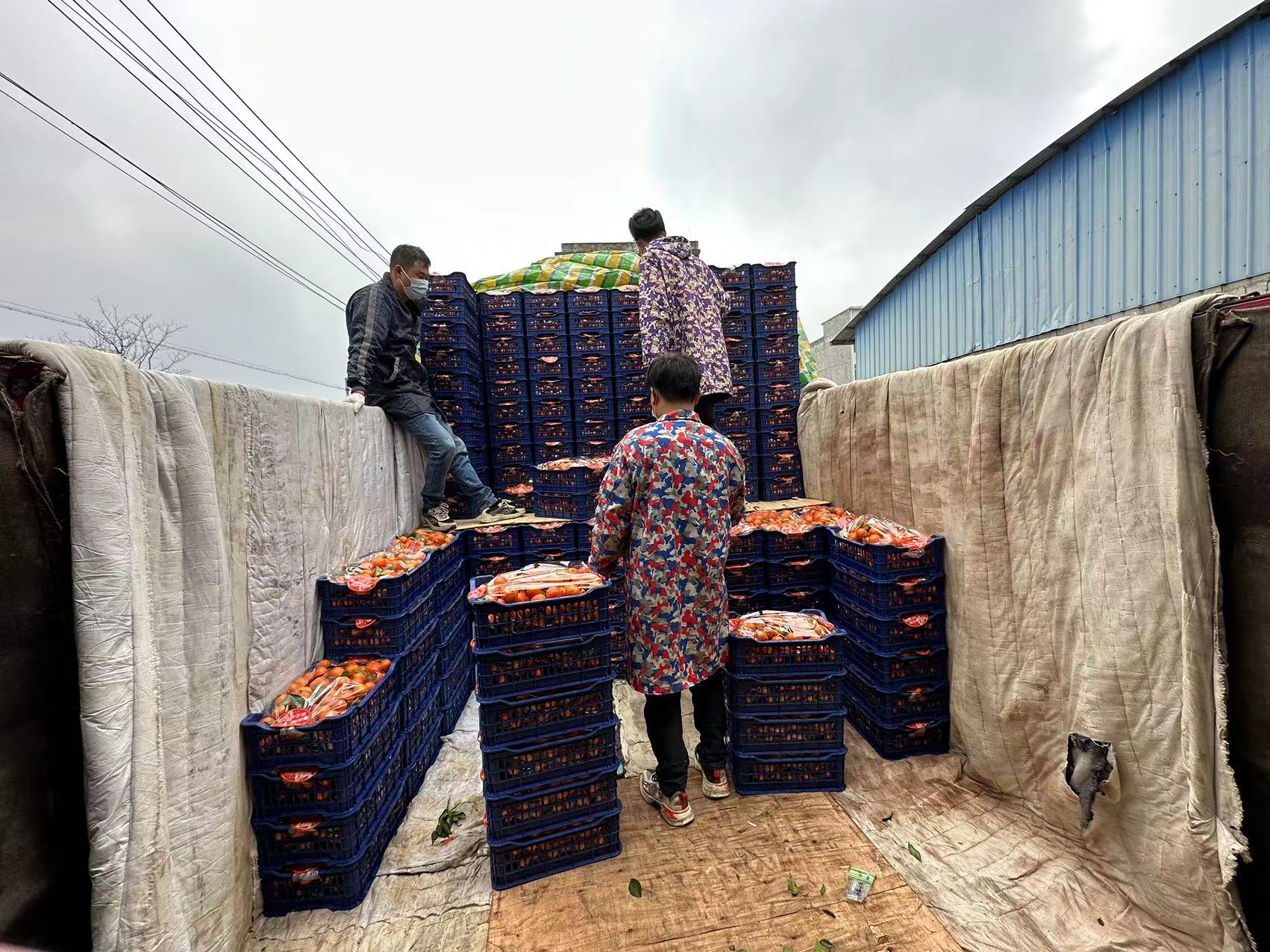 春节期间最热门的生意,春节前最赚钱的生意有哪些