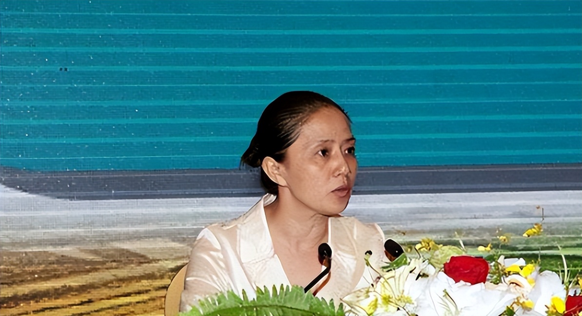 广西“最美书记”赵丽，敛财1344万，强迫司机6年，给460万封口费