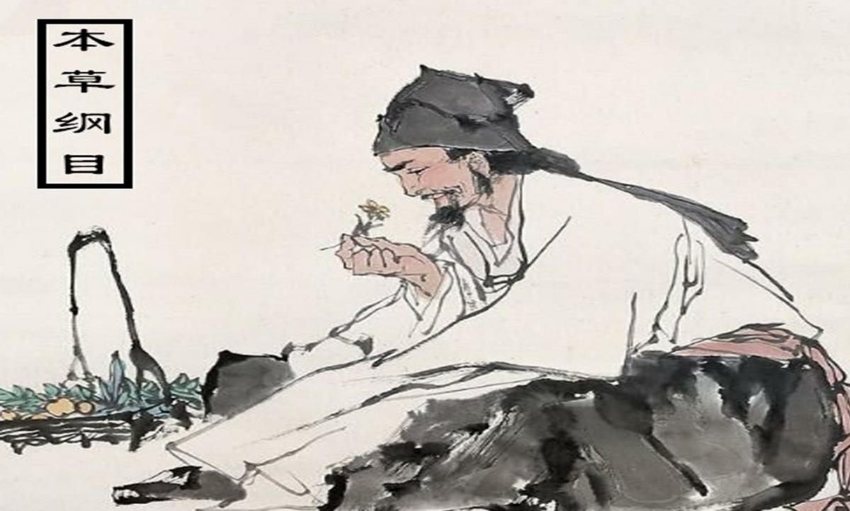 李时珍《本草纲目》中的食疗养生之道