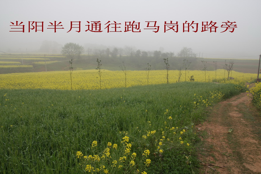 知青回忆插队艰苦岁月,知青回忆插队大锅饭