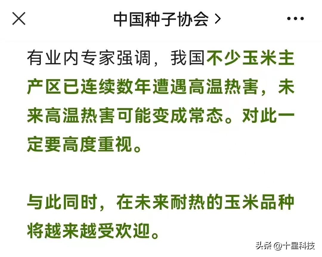 郑单958玉米新品种特征及表现,郑单958玉米品种是哪里培育的