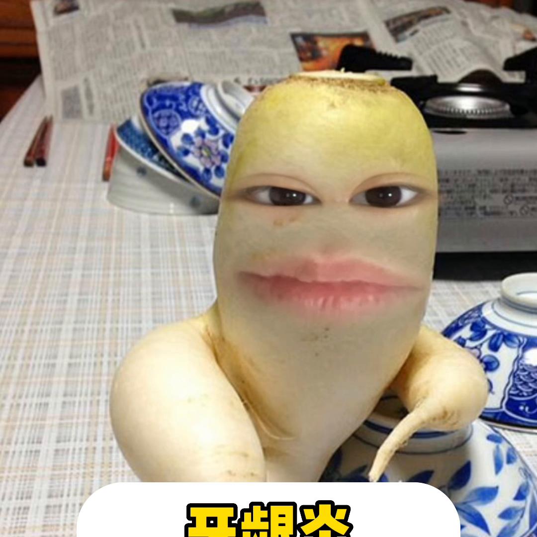 养猫如何改善口腔疾病症状,猫口腔健康判断方法有哪些