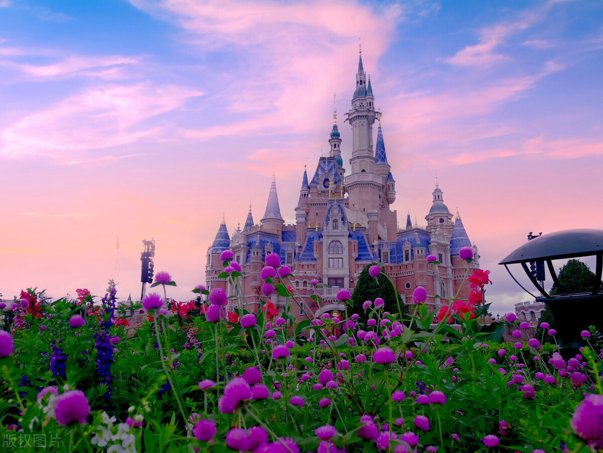 关于上海迪士尼的省钱方法,上海迪士尼再涨价你还会去玩吗