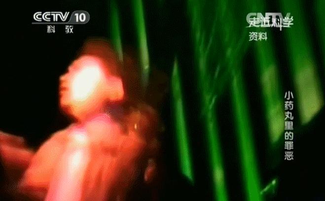 天津警方缉捕5名在逃人员,天津警方缉捕12名在逃人员