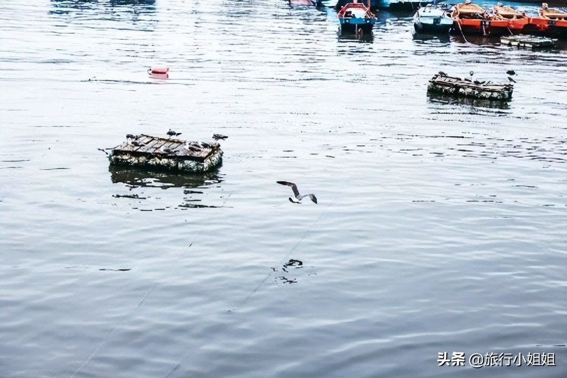 夏日海边微醺氛围感,滨城风光秀丽浪漫气息爆表