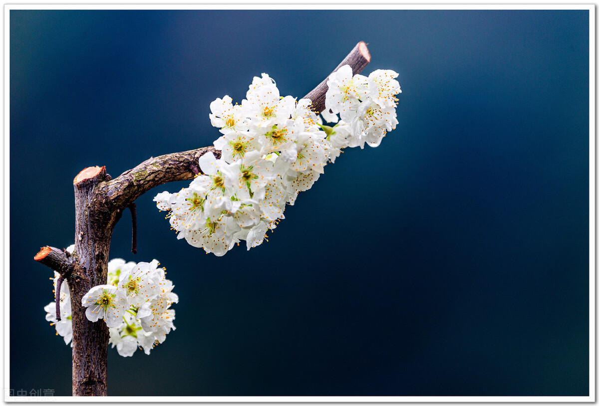 斑的形成，当您知道了原因之后，您就会明白，祛斑是不可取的