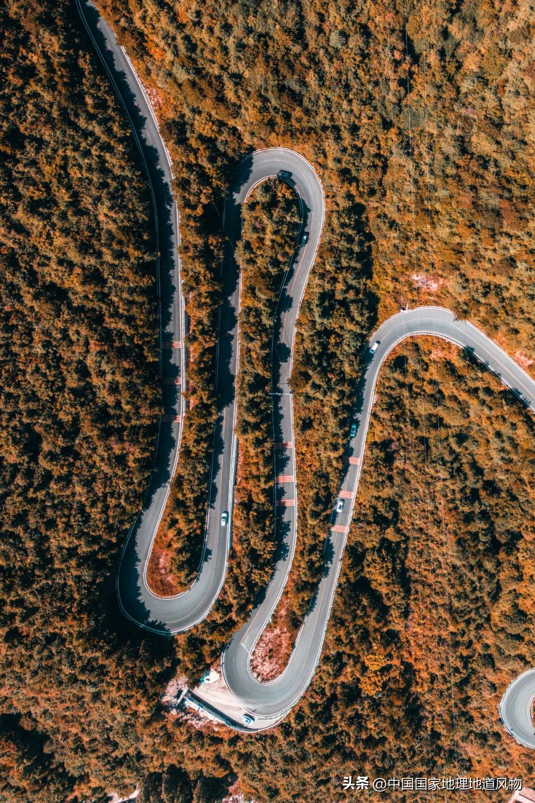 涓浗绉﹀箔绁炵鐗╃,鍙戠幇鐝嶇█鐗╃涓浗绉﹀箔