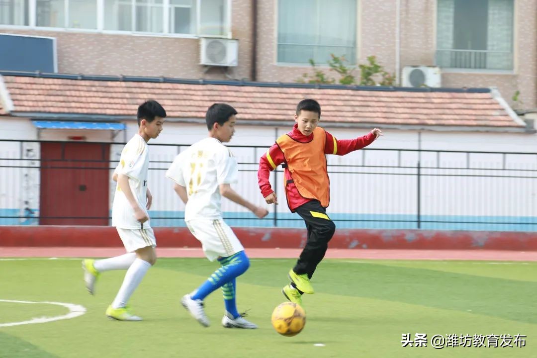 潍坊校园新闻联播,周播报