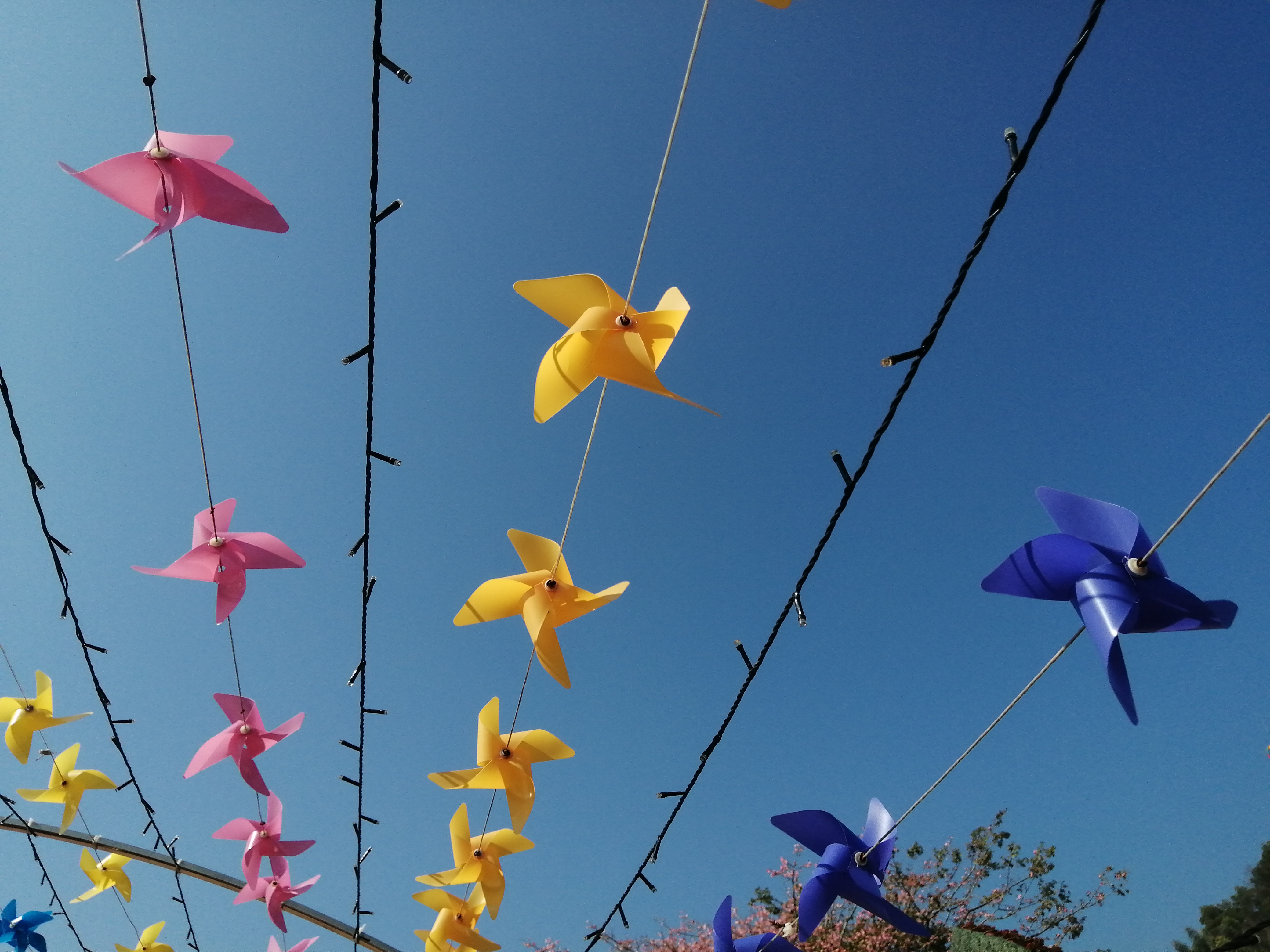 客天下(四):客天下田园花海CS战场山地车小朋友玩得乐不思蜀