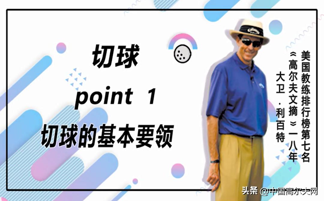 大卫利百特切杆,大卫利百特全挥杆教学