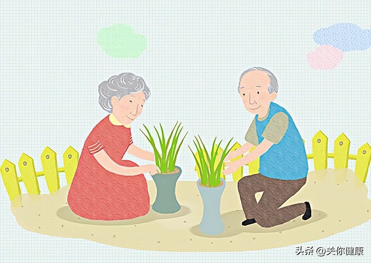 减肥数据图表分析,肥胖的数据分析