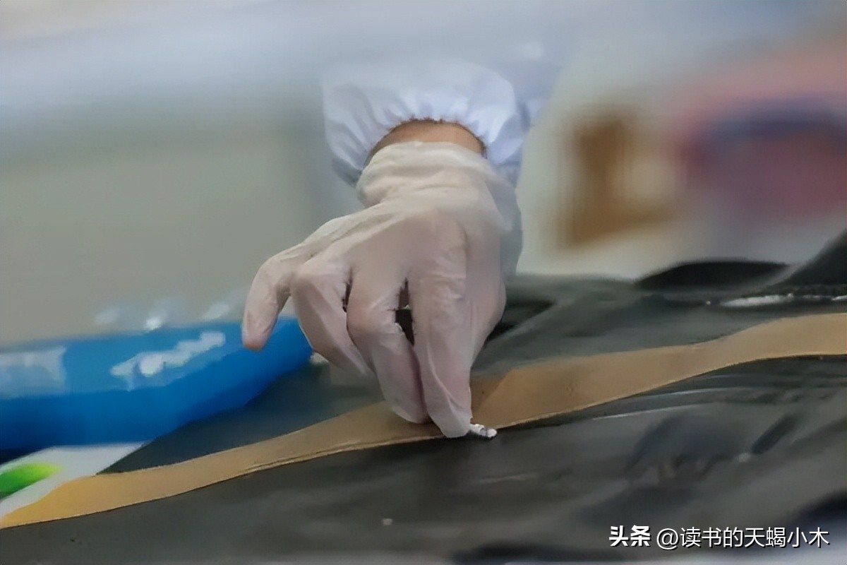 南北法医刀划真相背后的人性浮世绘“尸体*市黑**”瞠目到三观震惊