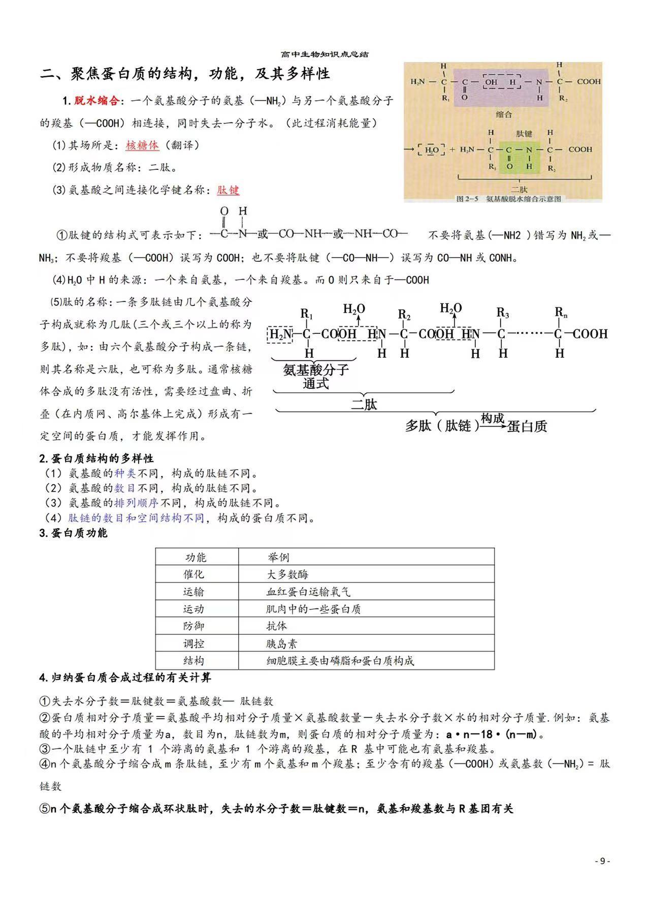 高中生物知识点大总结高考版,高中生物高三复习知识点
