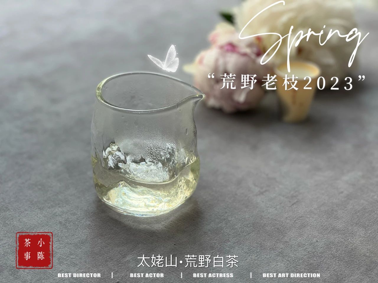 绿茶乌龙茶普洱茶怎么喝才适合,白茶红茶绿茶哪个更好喝一点