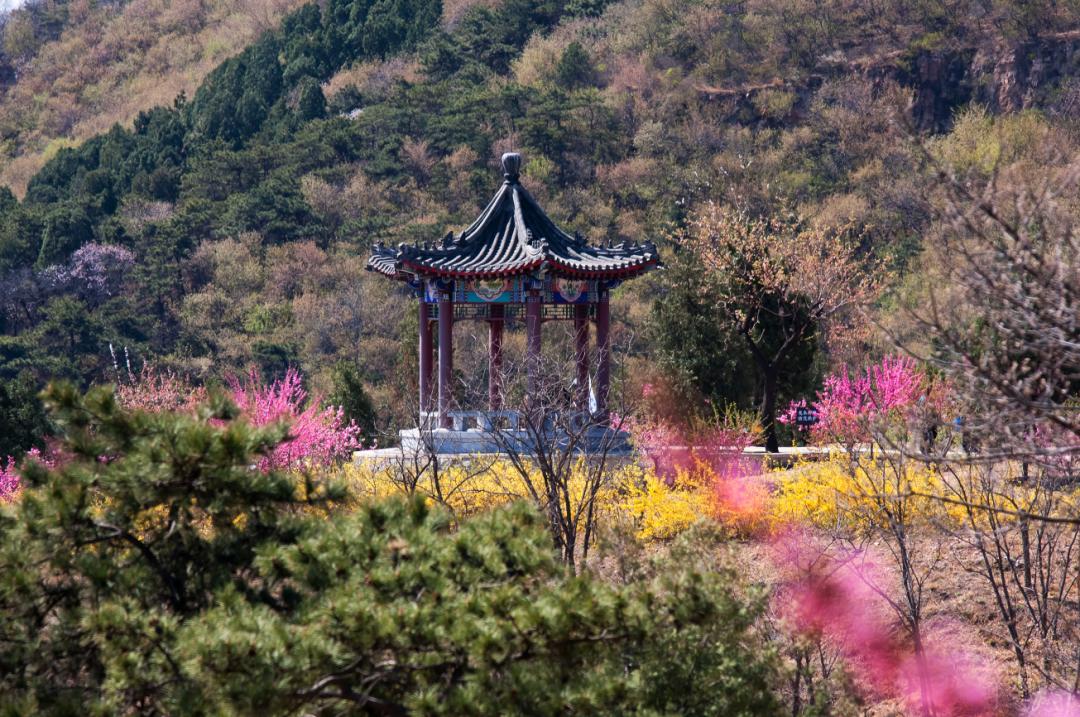 清明小长假去哪儿最全旅游攻略,清明10条精品旅游线路