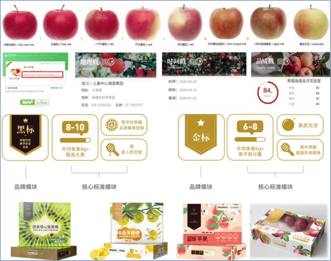 蔬菜生鲜电商未来发展,菜篮子农村生鲜电商