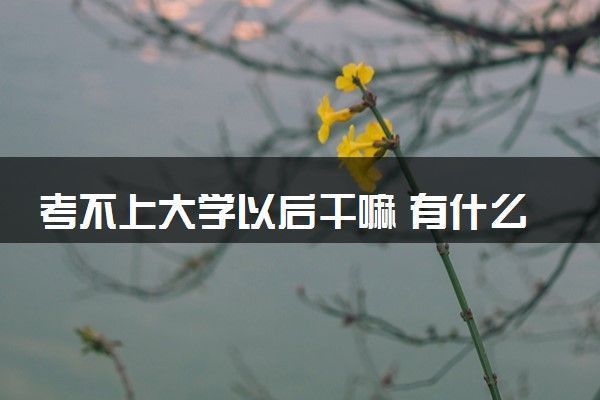 考不上大学的孩子该怎么选择道路