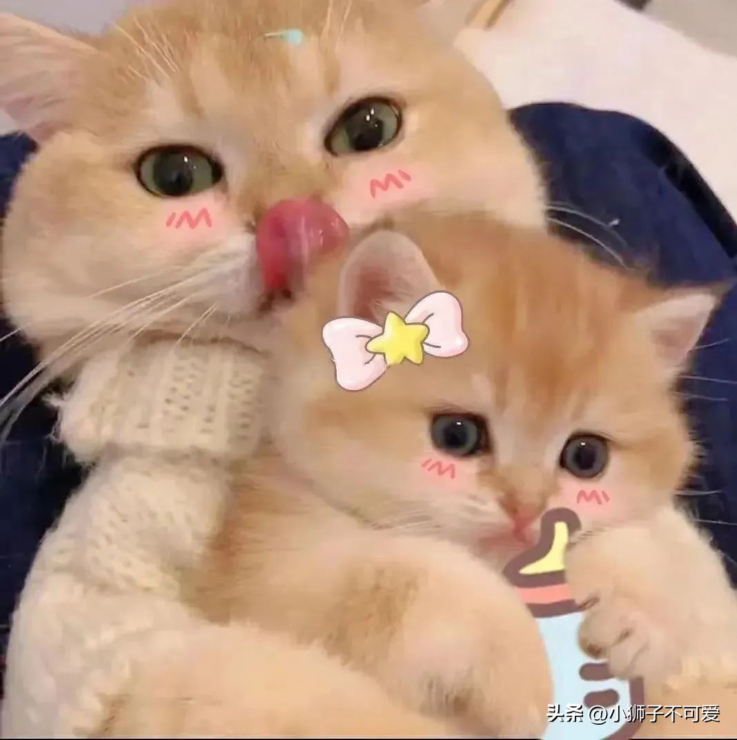 情侣动漫头像文案,微信情侣头像一男一女动漫情侣