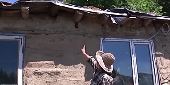 刘玉平与蛇同居,刘玉平与蛇相处视频