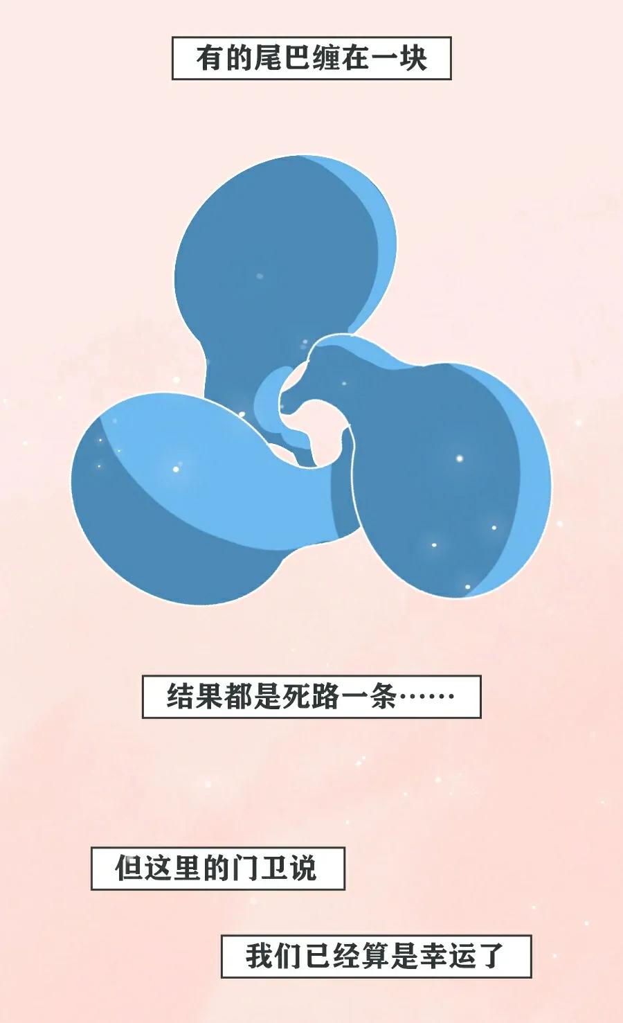 当精子进入女生体内后，会发生什么变化？不要羞于了解！