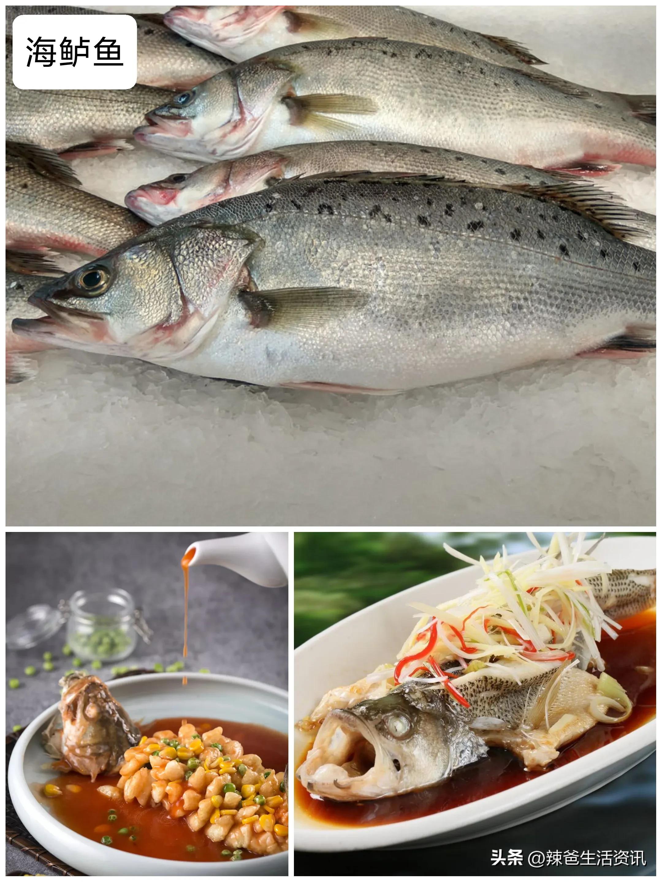 家庭大餐做什么海鱼好吃,沿海海鱼家常烧法20道经典家常菜