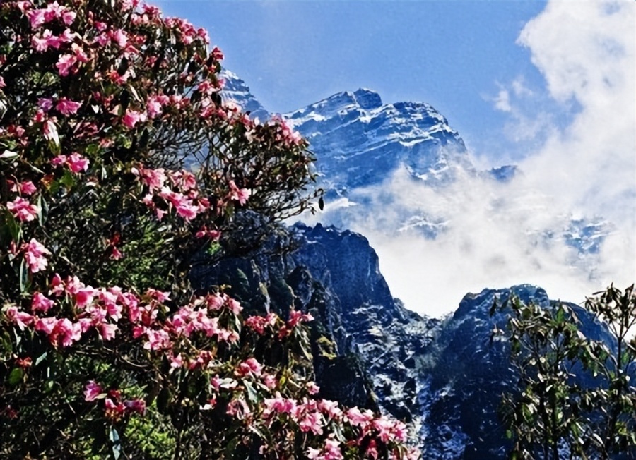 昆明到贵州5日游路线攻略,昆明大理5日游最佳方案