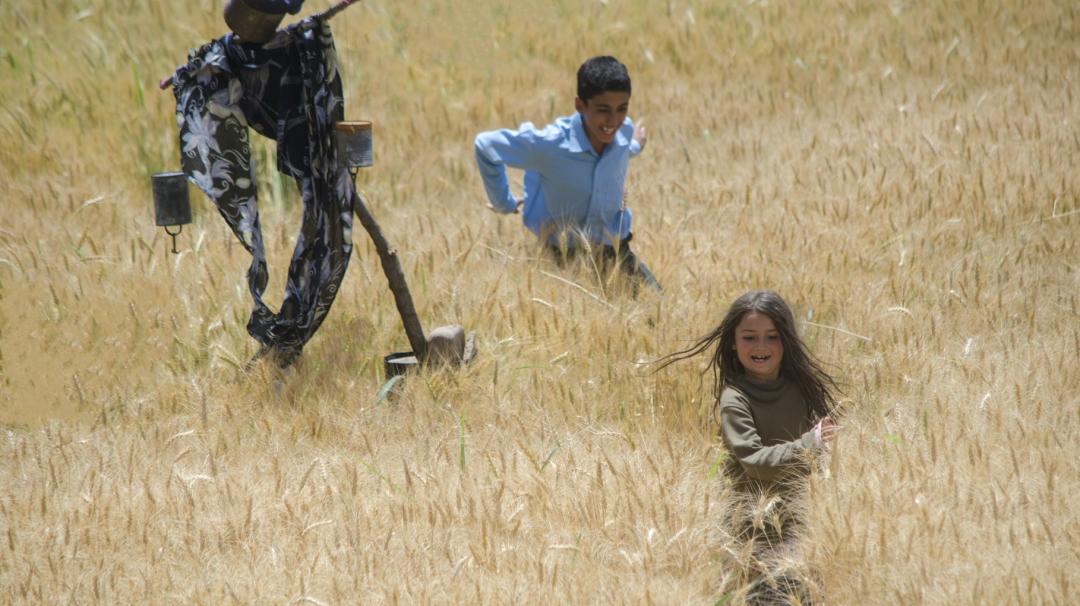 别关电视！电影音乐晚会过后，12部佳片即将放送