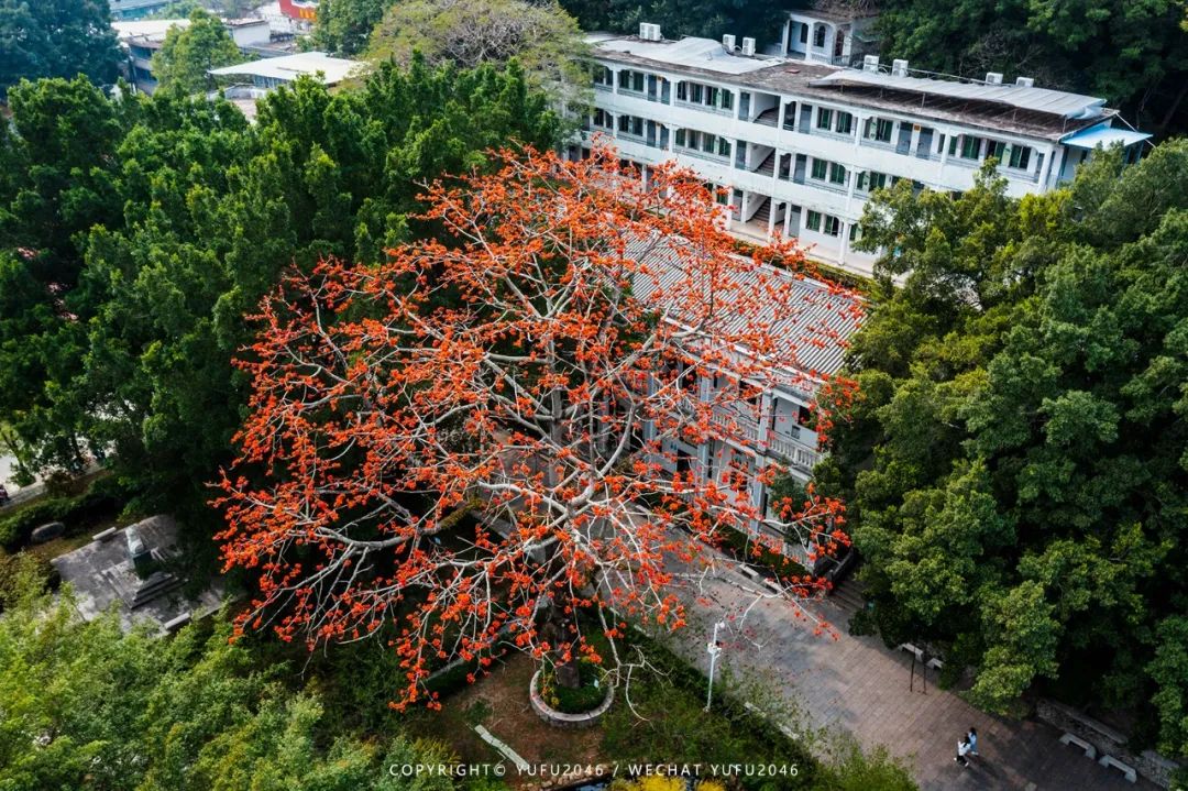 潮州古城别样的风景,瞰见潮州