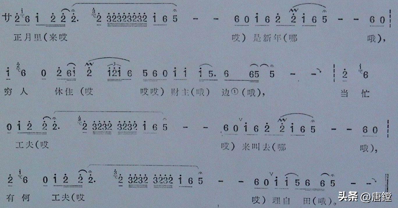 温暖与感情的传承——龙湾撞歌的传奇之路