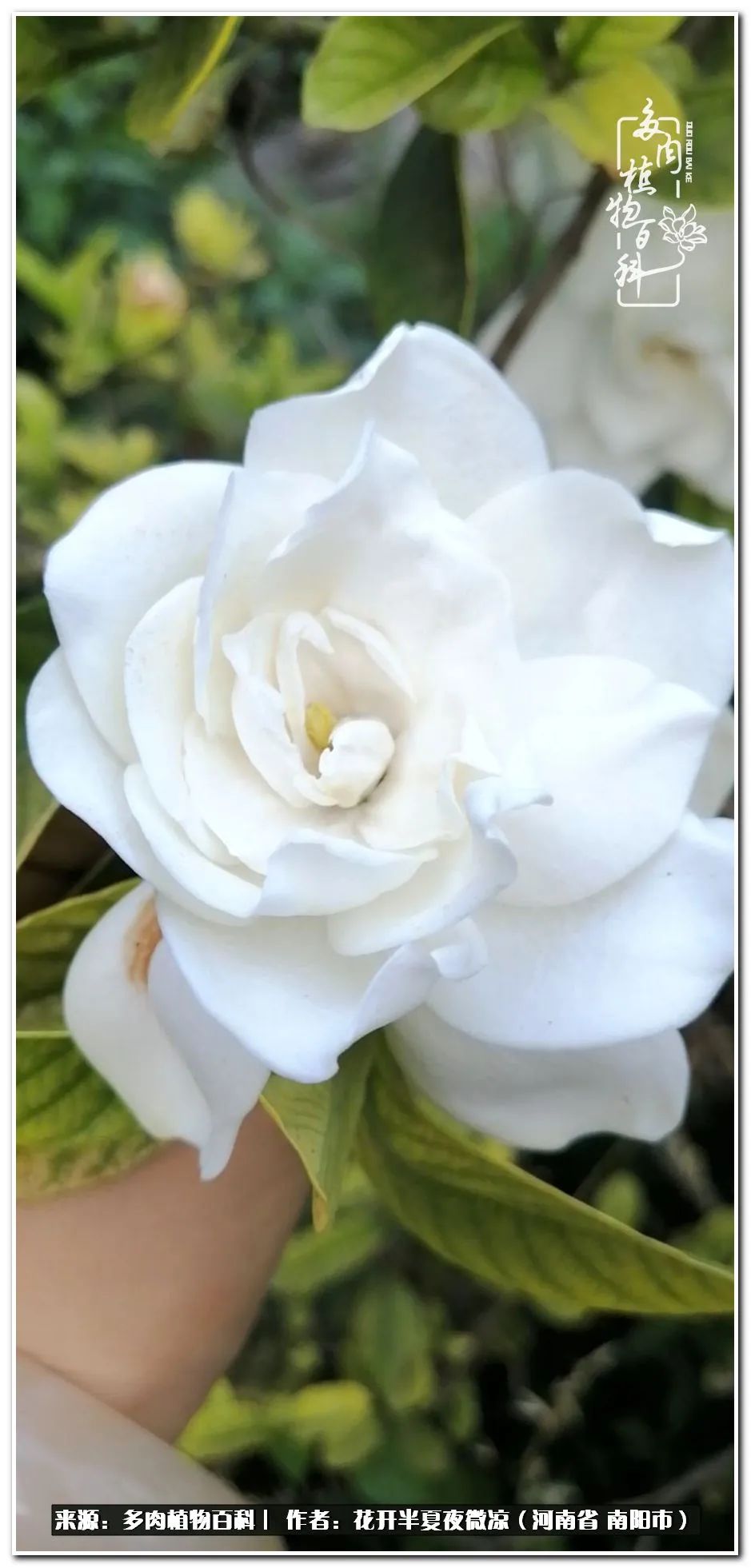 万事开头难只要坚持才有收获,万事开头难只要肯干就会有结果