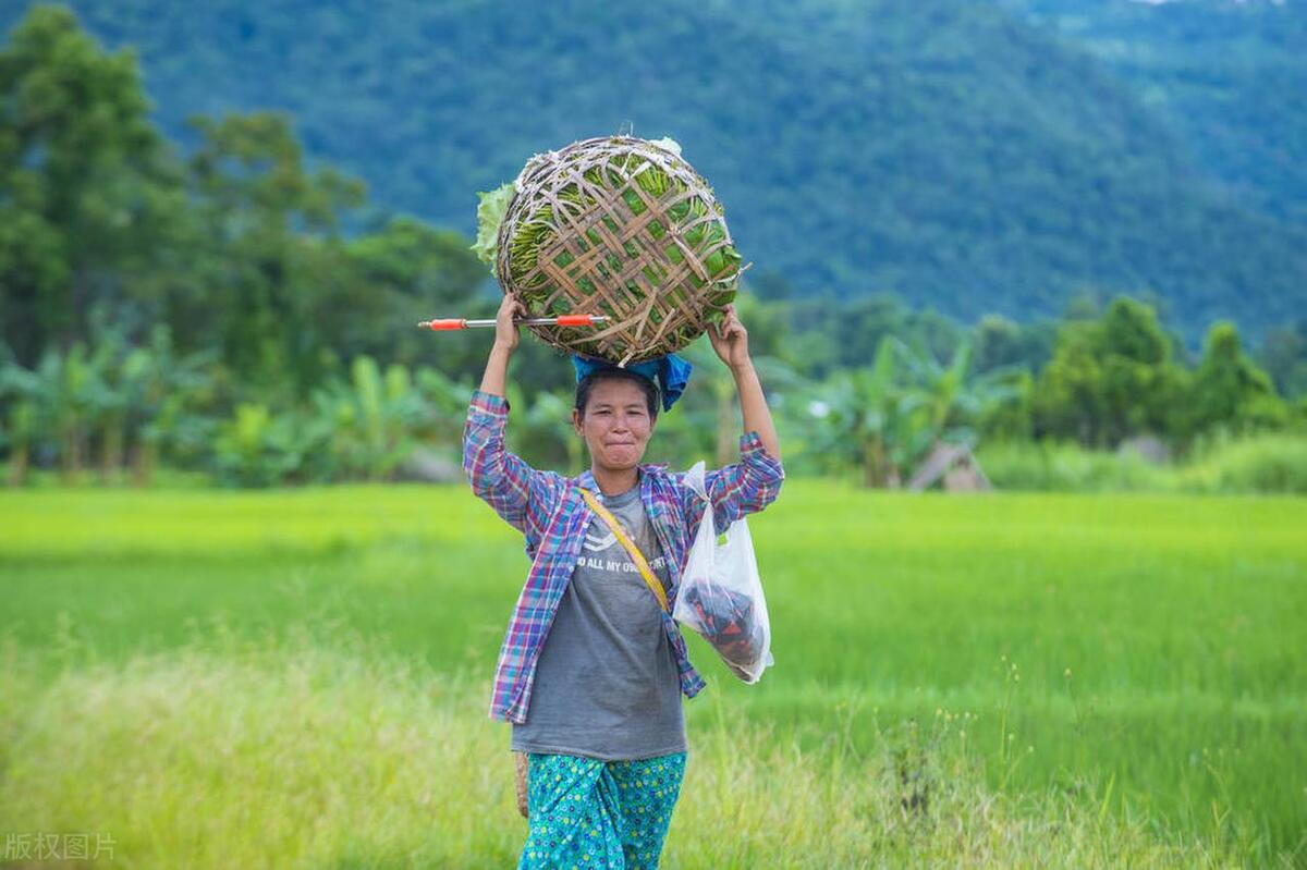 为什么有的去缅甸能赚很多钱,为什么有很多人去缅甸