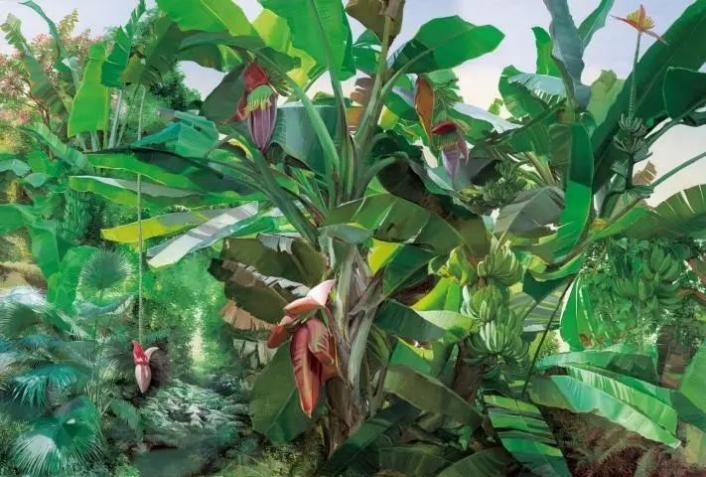 当代艺术名家油画,全国油画作品大展作品欣赏