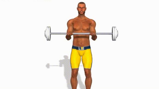 小臂锻炼动作不容忽视,小臂防护训练