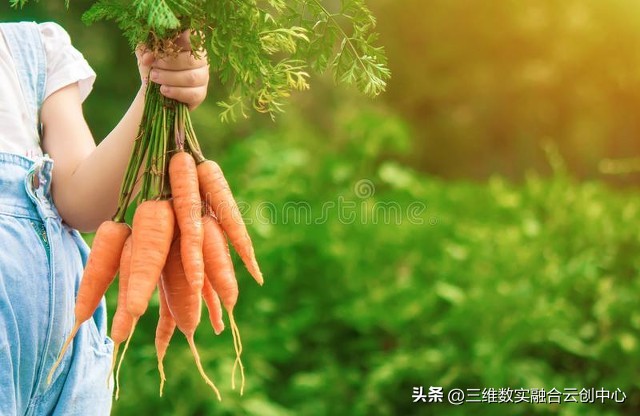 新型家庭农场的致富路,家庭农场的发展红利又将迎来高潮