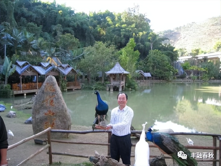 李芳｜游览西双版纳，领略傣族风情