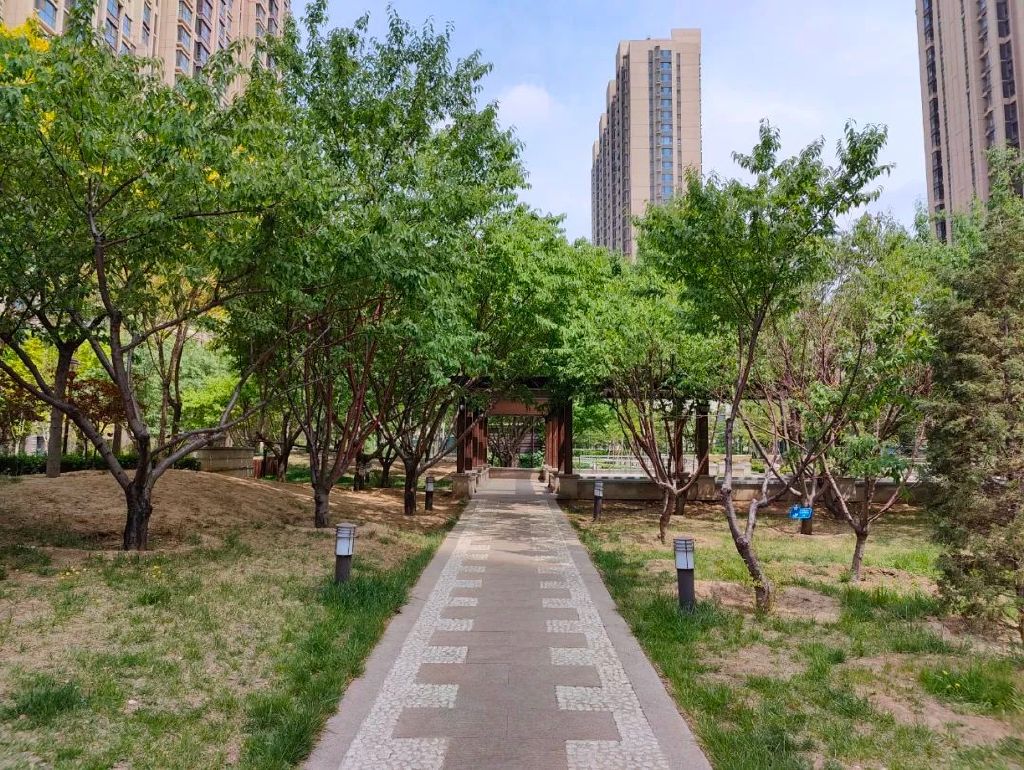 谁是影像机皇,谁才是手机机皇